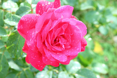 Similar image 5581498