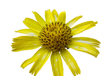 Similar image 5581543