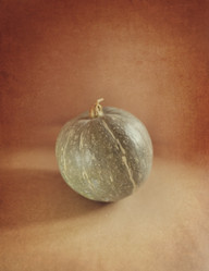 Similar image 5581572