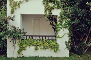 Similar image 5581574