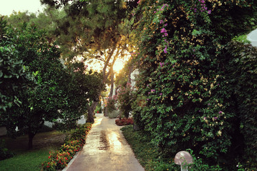 Similar image 5581575