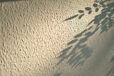 Similar image 5581576