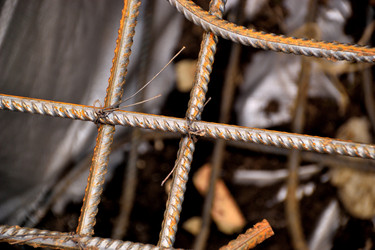 Similar image 5581583