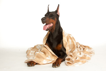 Similar image 5581610