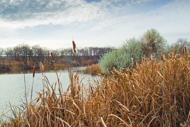 Similar image 5581692