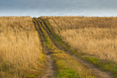 Similar image 5581693