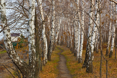 Similar image 5581694