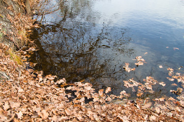 Similar image 5581697