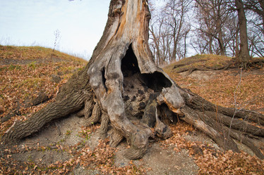 Similar image 5581698