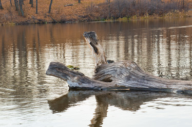 Similar image 5581703