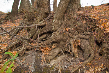 Similar image 5581705