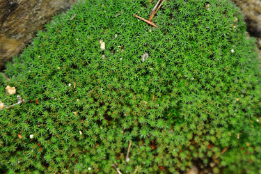 Similar image 5581845