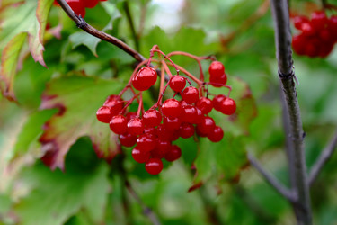 Similar image 5581846