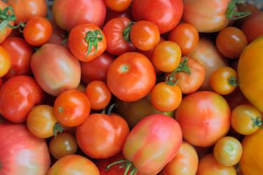 Similar image 5581858