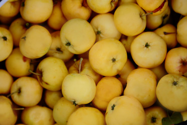 Similar image 5581859