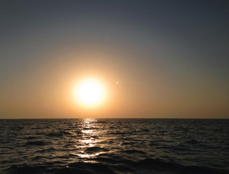 Similar image 5581869