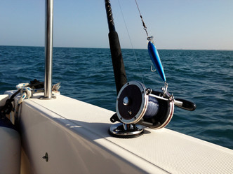 Similar image 5581873