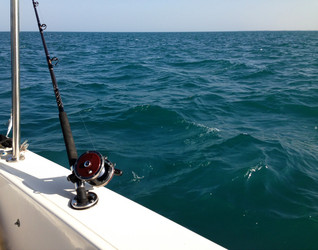 Similar image 5581874