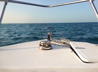 Similar image 5581875