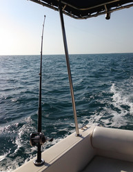 Similar image 5581879