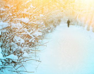 Similar image 5581884