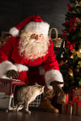 Similar image 5581982