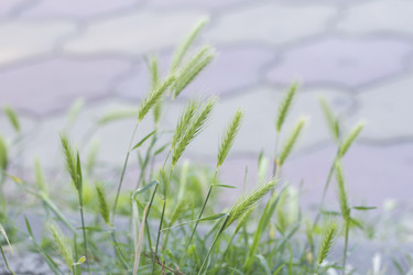 Similar image 5582078