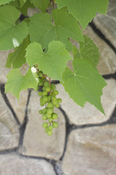 Similar image 5582079