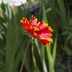 Similar image 5582082