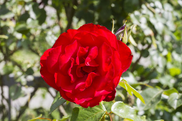 Similar image 5582086