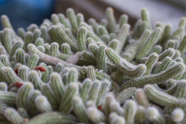 Similar image 5582093