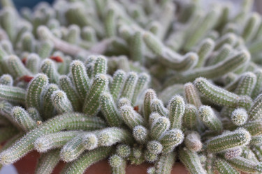 Similar image 5582095