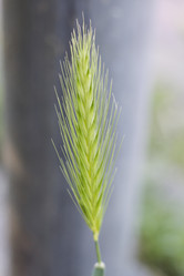 Similar image 5582098