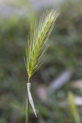 Similar image 5582099