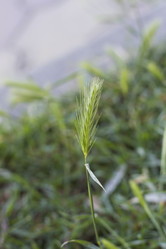 Similar image 5582101