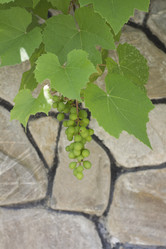 Similar image 5582103