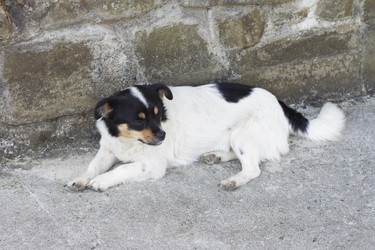 Similar image 5582106