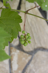 Similar image 5582108