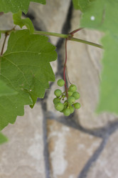 Similar image 5582109