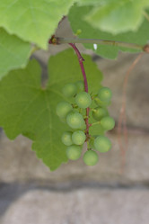 Similar image 5582110