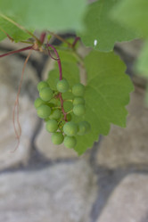 Similar image 5582111