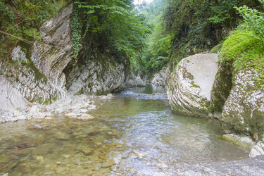 Similar image 5582120