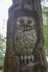 Similar image 5582142