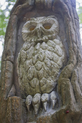 Similar image 5582143