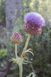 Similar image 5582169