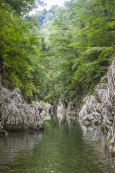 Similar image 5582174