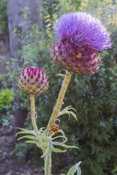 Similar image 5582175