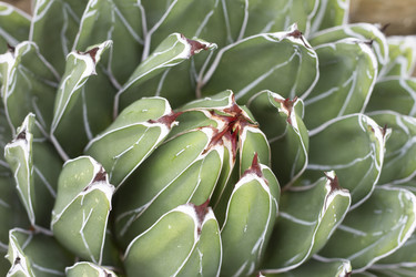 Similar image 5582180