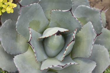 Similar image 5582190