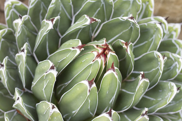 Similar image 5582192